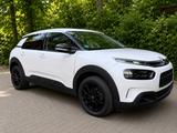 Citroën C4 Cactus PureTech 110 S&S Shine EAT6 Shine - Citroën C4 Cactus in Berlin