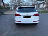 Audi SQ5 3.0 TDI plus tiptr. quattro - - Audi SQ5 in Bonn