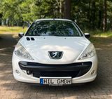 Peugeot 206 + Basis *Zahnriemen Neu* - Peugeot: 20
