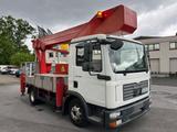 MAN TGL 8.180 Bison Palfinger TKA 28 M Hubsteiger - Hubsteiger