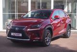 Lexus NX 300h E-Four Executive LED Navi Panorama AHK - Lexus: Nx