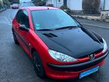 Peugeot 206 Petit Filou 60