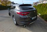 Alfa Romeo Stelvio 2.0 Turbo 16V 206kW First Edition AT... - Alfa Romeo Stelvio First-Edition mit Benzin-Antrieb