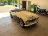 Austin Healey 100 / 6 - Austin Healey Gebrauchtwagen