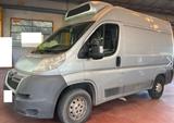 Citroën Jumper HDI Kühlwagen -0C. *Französische Papiere* - : Kühlwagen