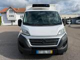 Fiat Ducato Kühlfahrzeug 3,5 T | -20 | Bj... - Kühlfahrzeug gebraucht
