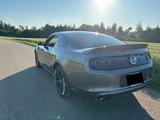 Ford Mustang - gebrauchte Ford Mustang aus dem Jahr 2014