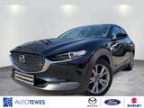Mazda CX-30 2.0l "Selection" "X " "BOSE" M Hybrid - Mazda CX-30 Gebrauchtwagen in Berlin