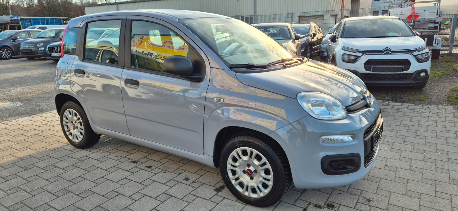 Fiat Panda 1,2 Easy 015150650608