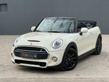 MINI Cooper S Cabrio Navi Tempo BLT H&K LED PDC SHZ - MINI Cooper S Gebrauchtwagen