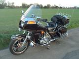 Honda Goldwing GL 1100 Traumzustand wenig km - Offers
