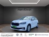 Skoda Fabia 1.0TSI DSG *Selection*LED+GRA+RFK+PDC+Stzh - Behindertengerechte Skoda Fabia