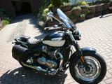 Triumph Bonneville Speedmaster - Offers