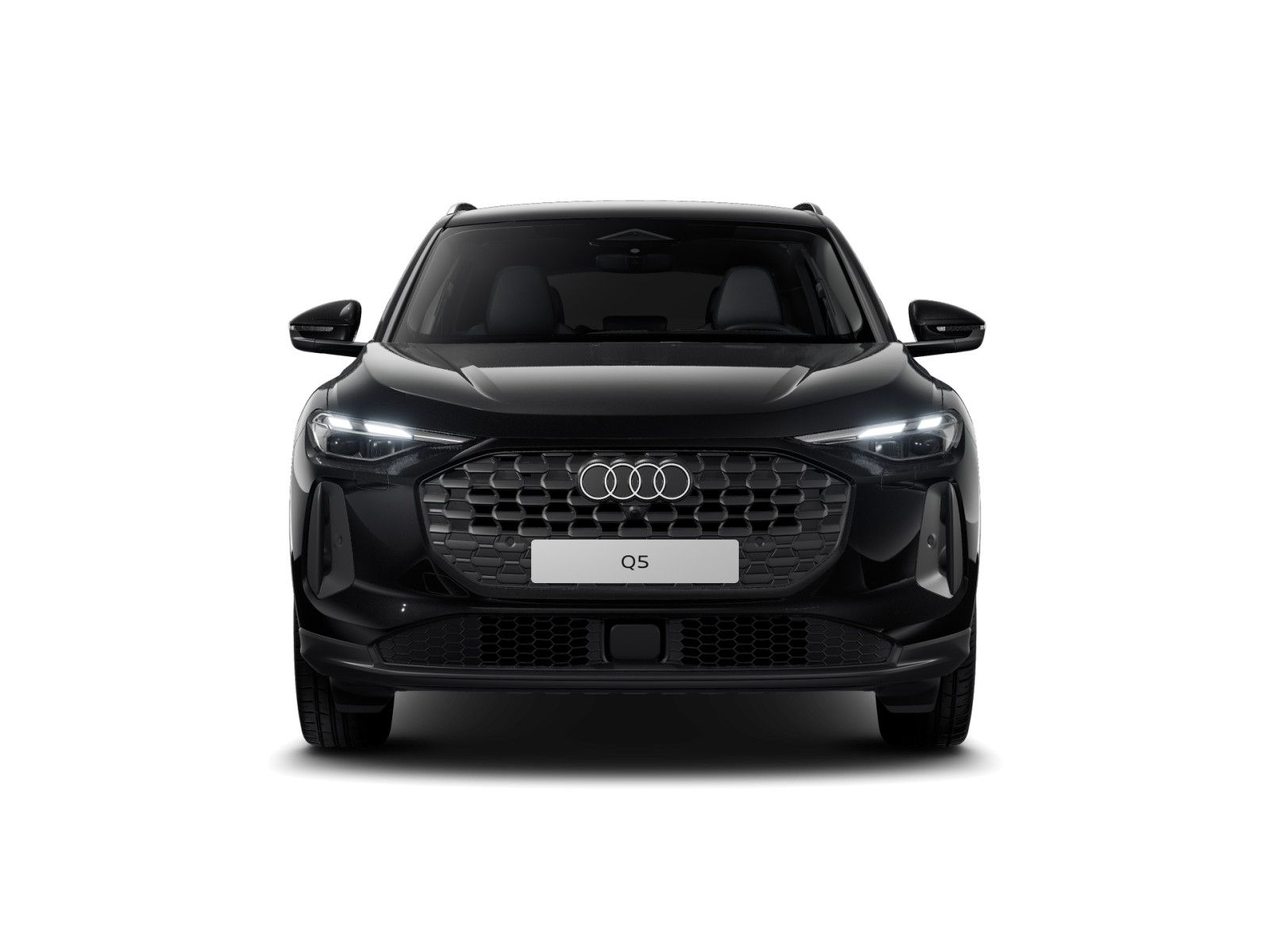 Audi Q5 TFSI Q LEDER LM19 AHK KAMERA foto 3