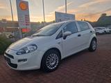 Fiat Punto MYSTYLE - Fiat Punto: My