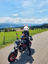 Suzuki SV 650 - SUZUKI ABS SV 650