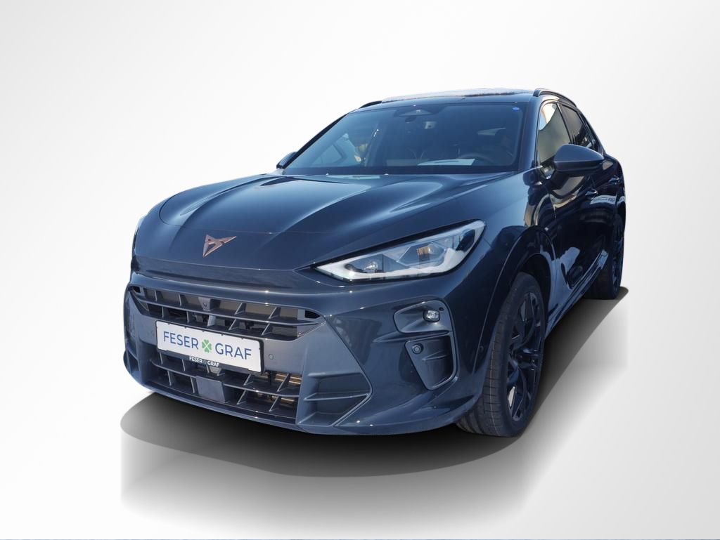 Cupra Terramar - Bild 10