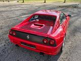 Ferrari F355 Berlinetta TRAUMZUSTAND - Ferrari: 355