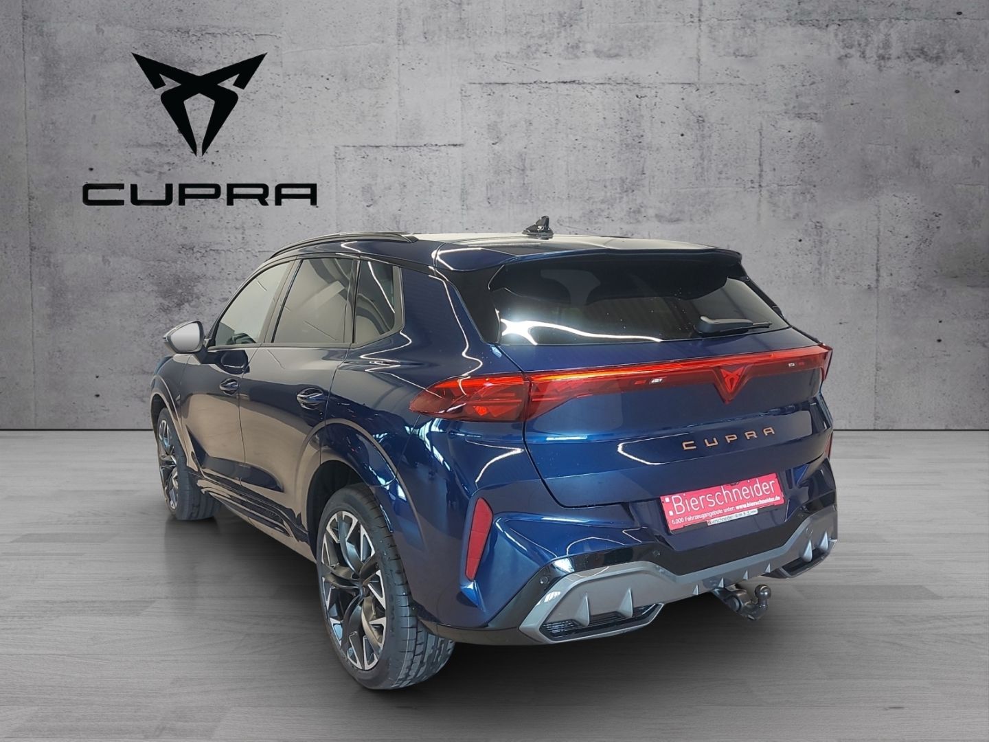 Cupra Terramar - Bild 8