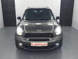 MINI Cooper S Countryman Chilli+Temp+Bi-Xenon+Leder - MINI Cooper S Countryman: Limousine