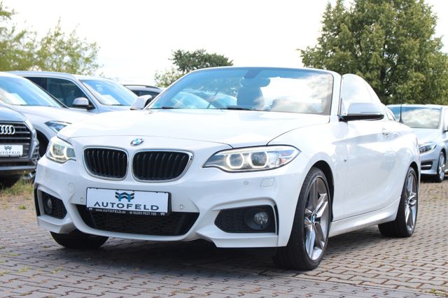 BMW 218i M Sportpaket Cabrio/VOLLSHEFT/1HD/KLIMA/PDC