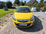 Opel Corsa D Bj 2014 mit Fahrradträger kle... - Opel Corsa: mit Fahrradträger