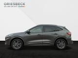Ford Kuga ST-Line AWD*ACC*AHK*SHZ*WiPa*RFK*LM* - Ford Kuga AWD Gebrauchtwagen