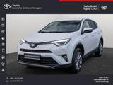 Toyota RAV4 2.5 Hybrid Executive SHZ LEDER KAMERA 360° - Toyota RAV 4 Gebrauchtwagen in Hamburg