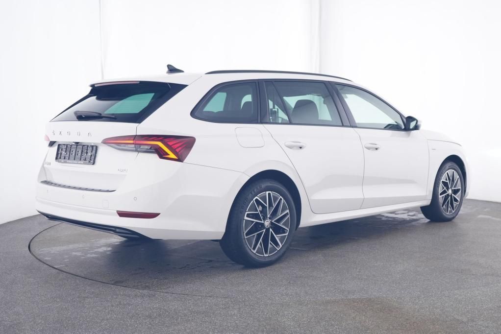 Skoda Octavia Combi Ambition 4x4 2.0 TDI DSG PDC*Tempo