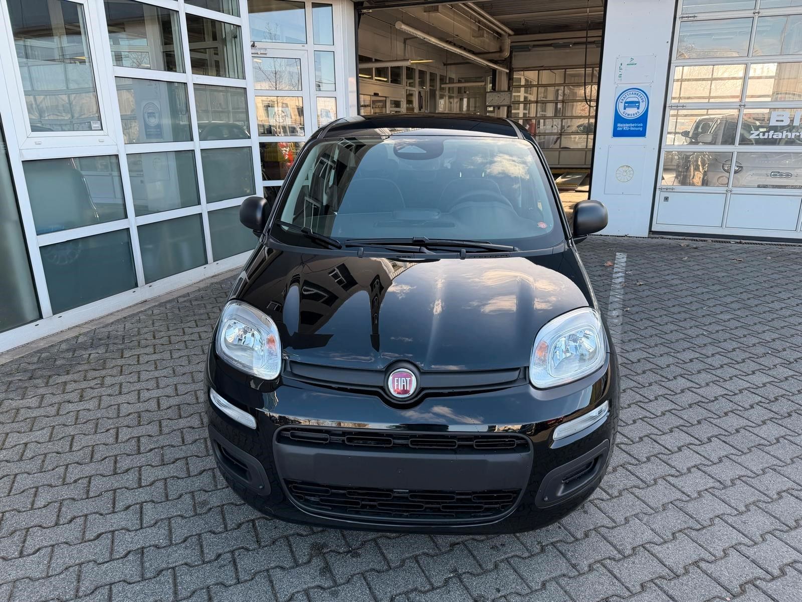 Fiat Panda Pandina 1.0 Hybrid Icon imagem 2