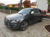Audi SQ5 3.0 quattro - AHK - ACC - B&O - Audi quattro: 3.0