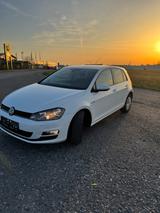 Volkswagen Golf VII TÜV Neu! Zahnriemen+Inspektion Neu! - Volkswagen Golf: Zahnriemen V