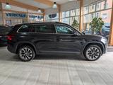 Skoda Kodiaq Clever 4x4 - Skoda Kodiaq CLEVER mit Diesel-Antrieb