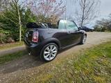 MINI Cooper Cabrio Cooper - MINI Cooper Cabrio: Kleinwagen
