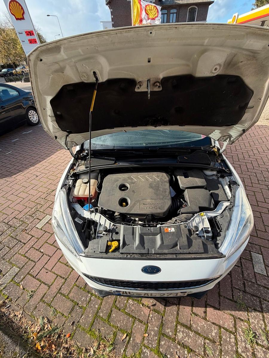 Ford Focus 2015 — photo 6