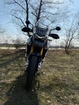 Triumph Tiger 900 Rally Pro - Triumph Tiger 900 Rally Pro