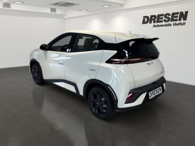 BYD DOLPHIN SURF