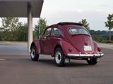 Volkswagen 1958er Faltdach-Käfer Kübel-Technik H-Zulassung - Volkswagen: Kübel