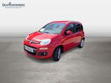 Fiat Panda Lounge 1.2 Klima Winterpaket - Fiat Panda: 1.1