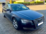Audi A8 3.0 TDI tiptronic quattro - wunderschön  - Audi A8: 3.3