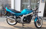 Suzuki GS 500 E Typ GM51B - SUZUKI T500