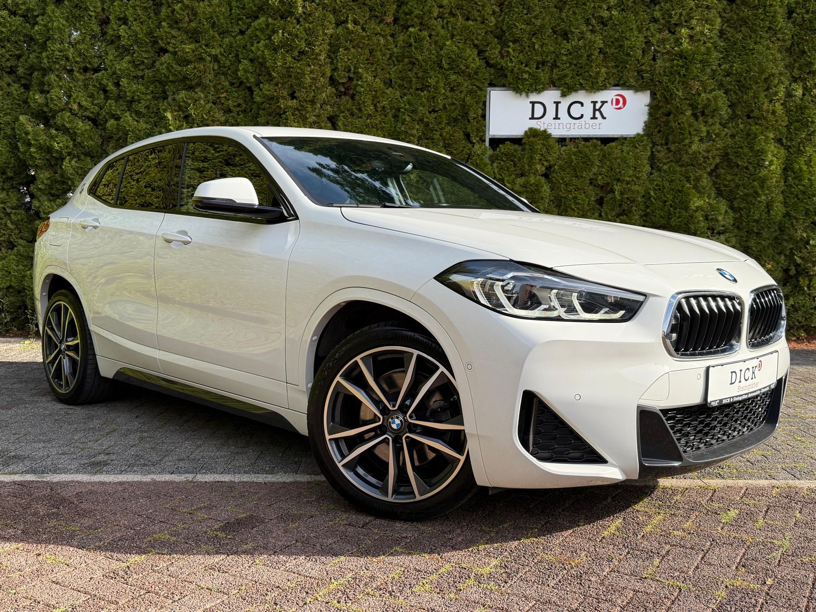 BMW X2 xDrive 25e M Sport LED+NAV+KAM+H&K+PARK+CARPL