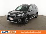 Subaru Forester 2.0 Mild-Hybrid Aktive Aut.*LED*ACC*CAM - Subaru: Allradantrieb