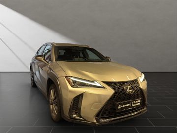 Lexus UX - 6