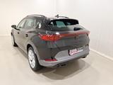 Cupra Formentor 1.5 TSI DSG WInter|LED|virt.Cock.|ACC - gebrauchte Cupra SUV & Geländewagen