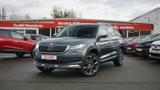 Skoda Kodiaq 2.0 TDI Scout 4x4 ACC Navi AHK Alcantara - Skoda Kodiaq Scout mit Diesel-Antrieb