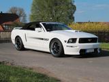 Ford Mustang GT/CS Cabrio 4.6l V8 BJ.2008 - Ford Mustang: Cabrio, V6