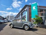 Volkswagen Käfer Oldtimer 3.Hd*Faltdach*Dickholmer* - Offers matching your search criteria