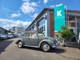 Volkswagen Käfer Oldtimer 3.Hd*Faltdach*Dickholmer* - Volkswagen: Faltdach