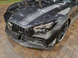 Mercedes-Benz AMG GT R PRO 1/750 - schwarze Mercedes-Benz AMG GT R